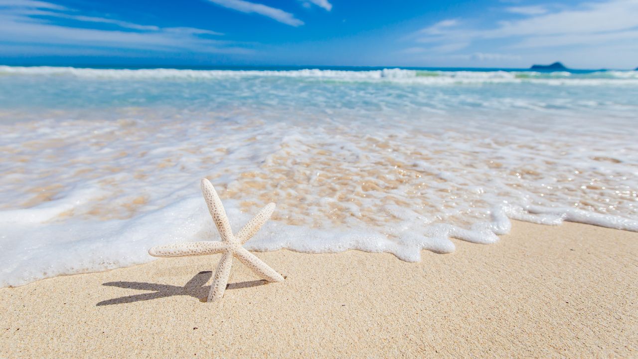 El esperado «paréntesis» del verano